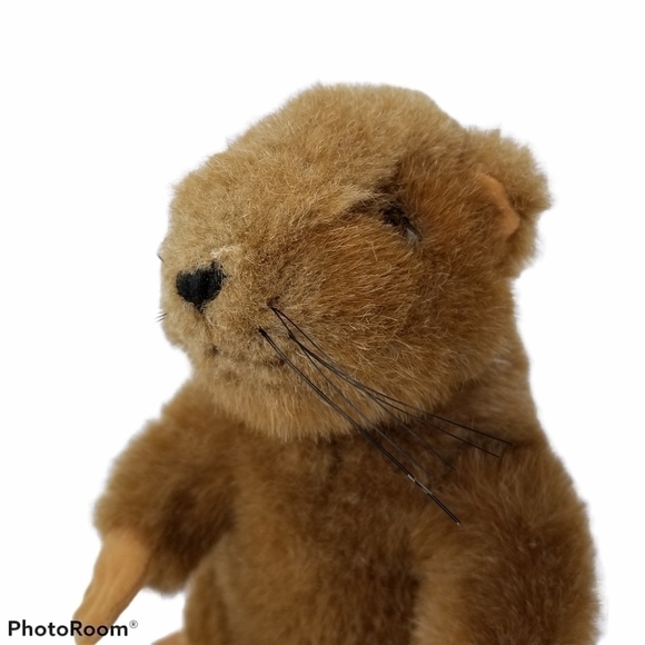 Groundhog Plush Soundprints 1992 Stuffed Animal 90s Wildlife Realistic - Picture 14 of 16